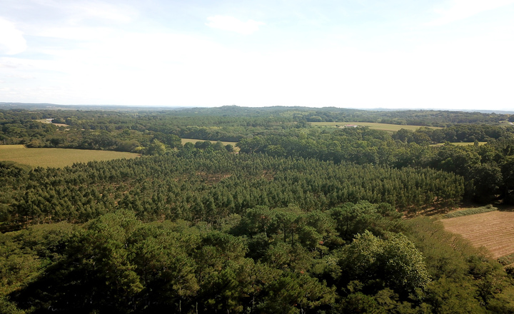 « 𝐍𝐞́𝐦𝐚𝐭𝐨𝐝𝐞 𝐝𝐮 𝐩𝐢𝐧 » : 𝐭𝐨𝐮𝐬 𝐚𝐜𝐭𝐞𝐮𝐫𝐬 𝐩𝐨𝐮𝐫 𝐩𝐫𝐞́𝐬𝐞𝐫𝐯𝐞𝐫 𝐥𝐚 𝐟𝐨𝐫𝐞̂𝐭